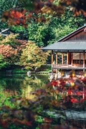 Ontdek de Japanse tuin tijdens je verblijf in Hasselt